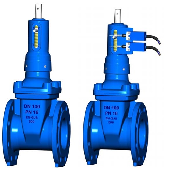 Gate Valves with other Ends Types